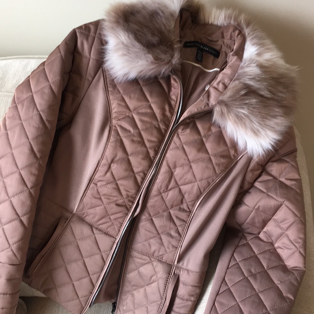 NWOT Gorgeous WHBM Jacket